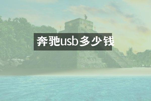 奔驰usb多少钱
