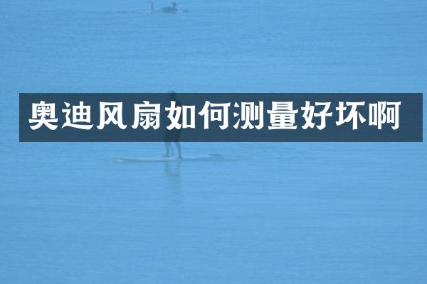 奥迪风扇如何测量好坏啊