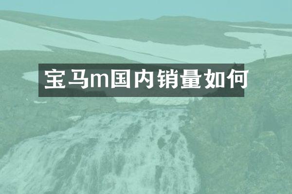 宝马m国内销量如何