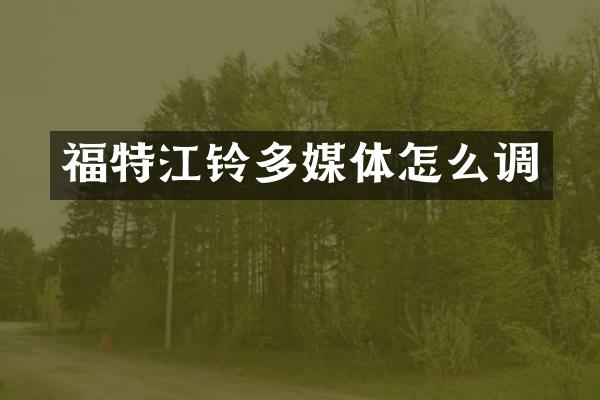 福特江铃多媒体怎么调