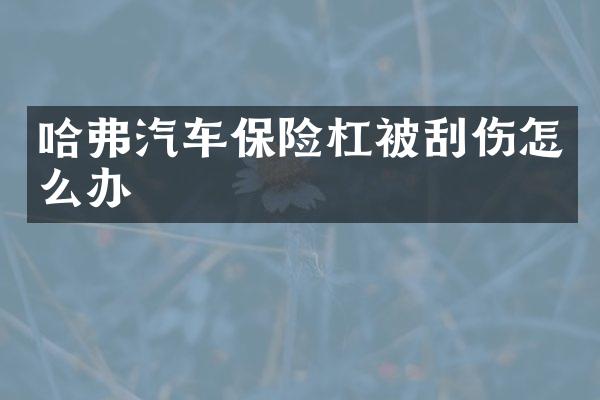 哈弗汽车保险杠被刮伤怎么办
