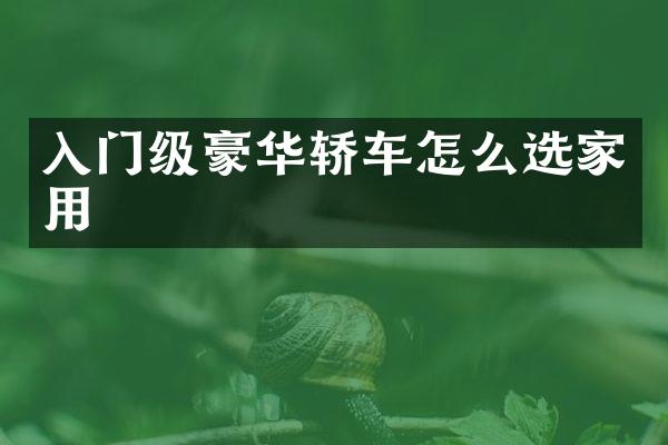 入门级豪华轿车怎么选家用
