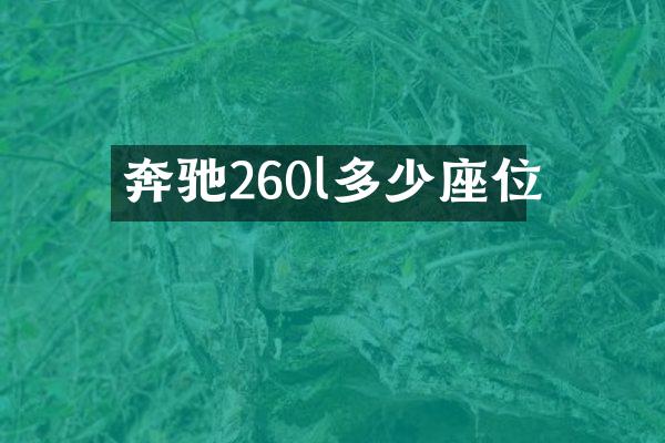 奔驰260l多少座位
