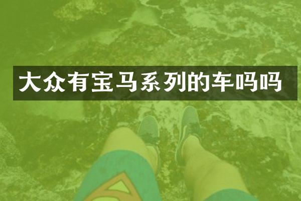 大众有宝马系列的车吗吗
