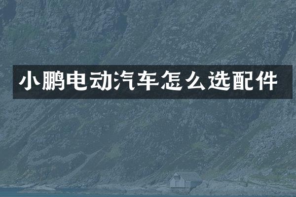 小鹏电动汽车怎么选配件