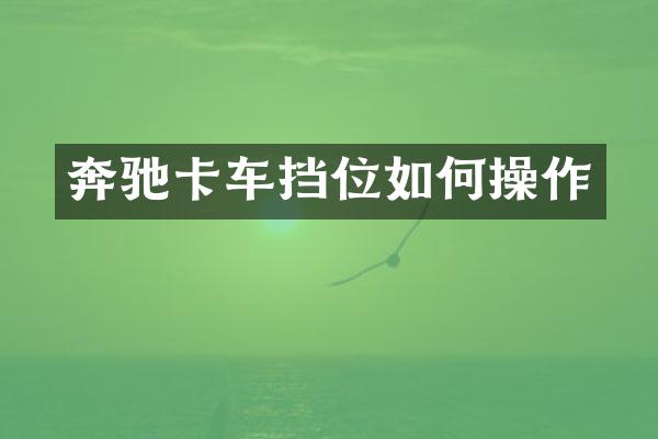 奔驰卡车挡位如作