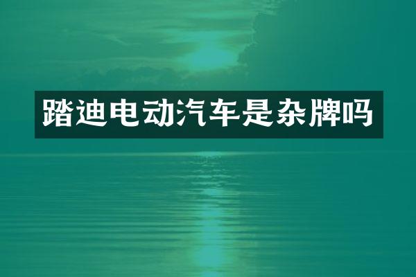 踏迪电动汽车是杂牌吗