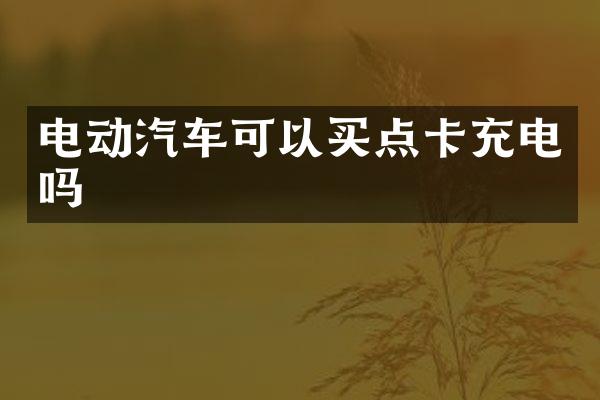 电动汽车可以买点卡充电吗