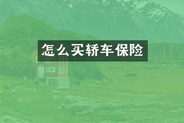 怎么买轿车保险