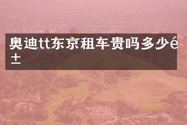奥迪tt东京租车贵吗多少钱