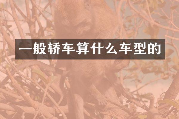 一般轿车算什么车型的