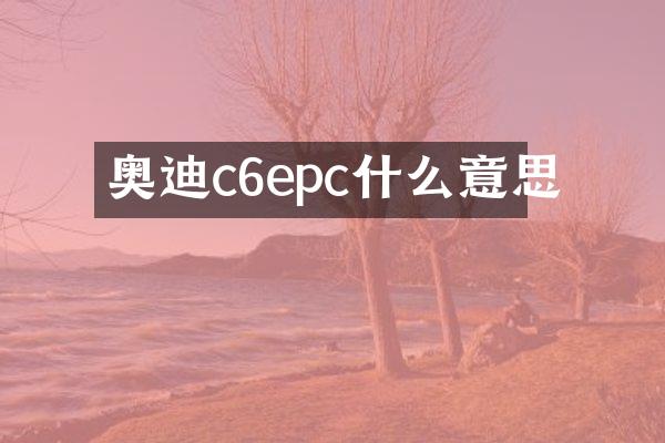 奥迪c6epc什么意思