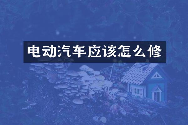 电动汽车应该怎么修