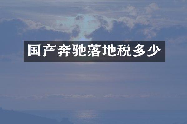 国产奔驰落地税多少