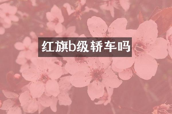 红旗b级轿车吗