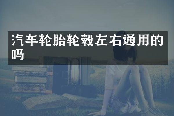 汽车轮胎轮毂左右通用的吗