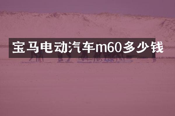 宝马电动汽车m60多少钱
