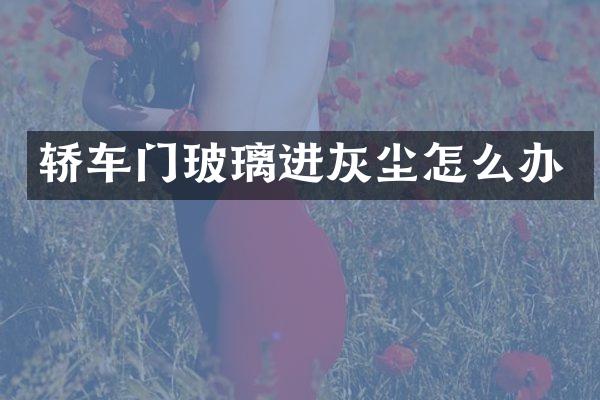 轿车门玻璃进灰尘怎么办
