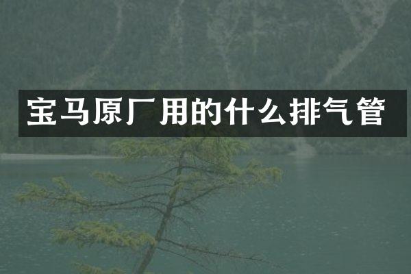 宝马原厂用的什么排气管