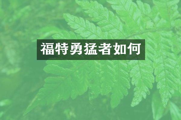 福特勇猛者如何