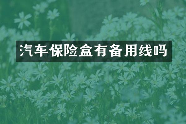 汽车保险盒有备用线吗