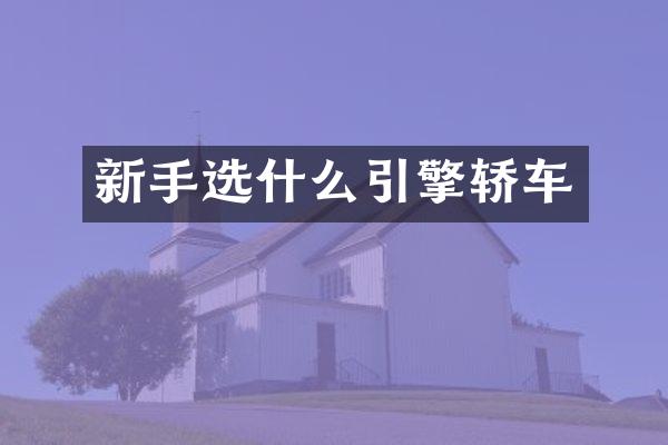 新手选什么引擎轿车