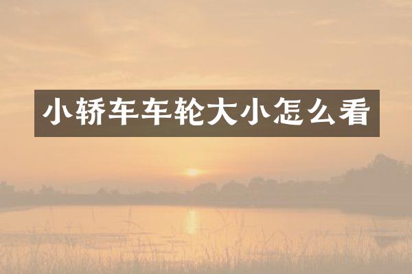 小轿车车轮大小怎么看