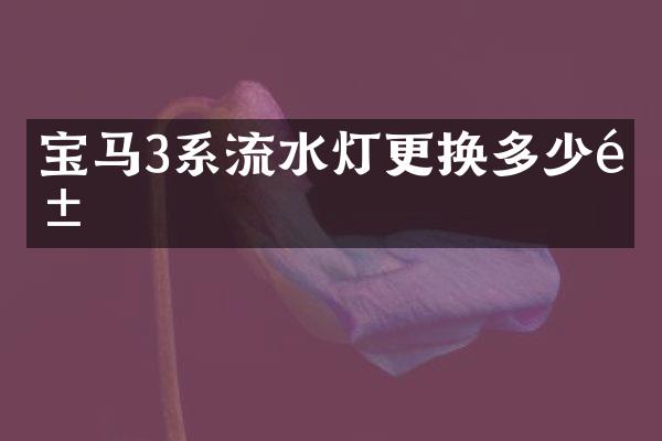 宝马3系流水灯更换多少钱