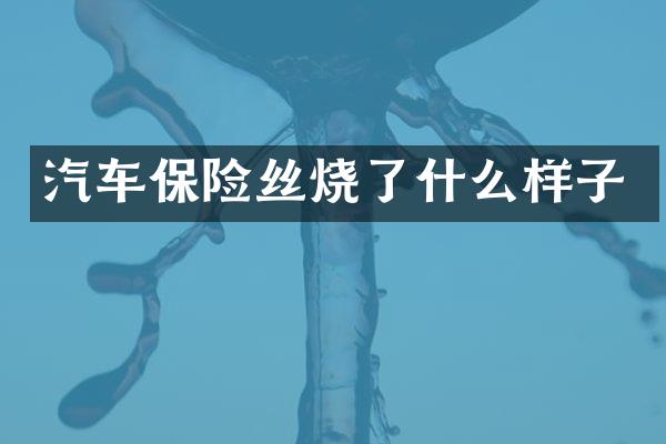 汽车保险丝烧了什么样子