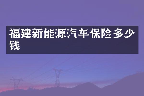 福建新能源汽车保险多少钱