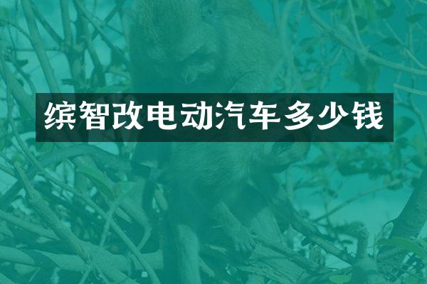 缤智改电动汽车多少钱
