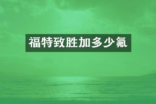 福特致胜加多少氟
