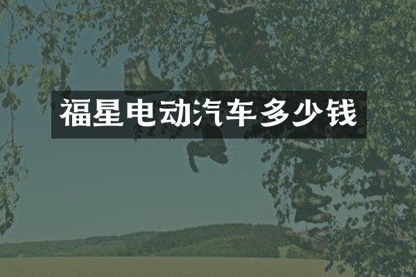 福星电动汽车多少钱