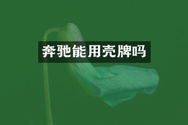 奔驰能用吗