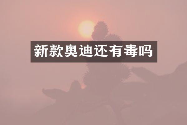 新款奥迪还有毒吗