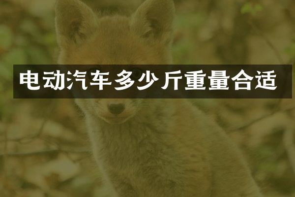 电动汽车多少斤重量合适