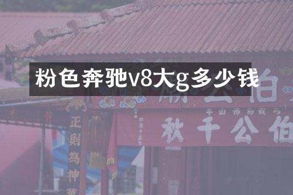 粉色奔驰v8大g多少钱