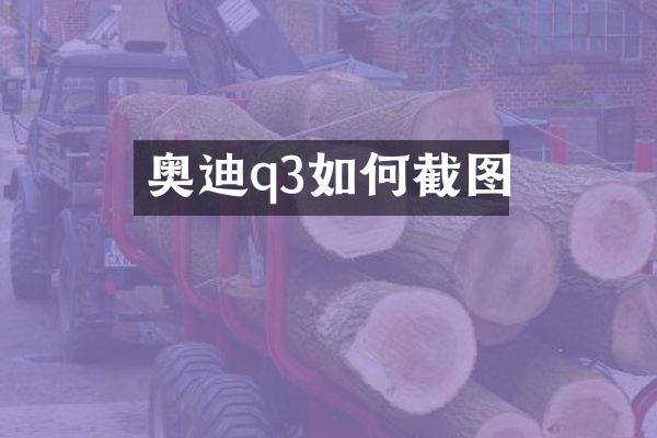 奥迪q3如何截图
