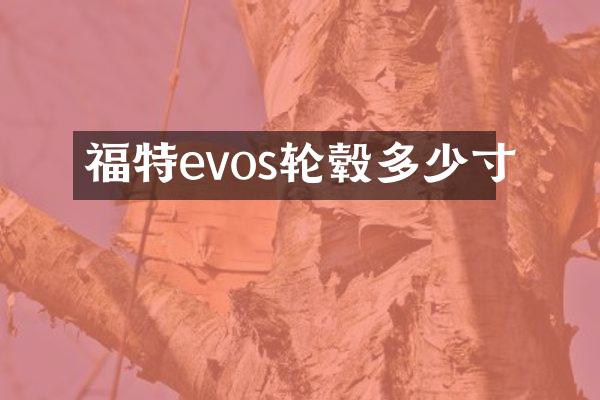 福特evos轮毂多少寸
