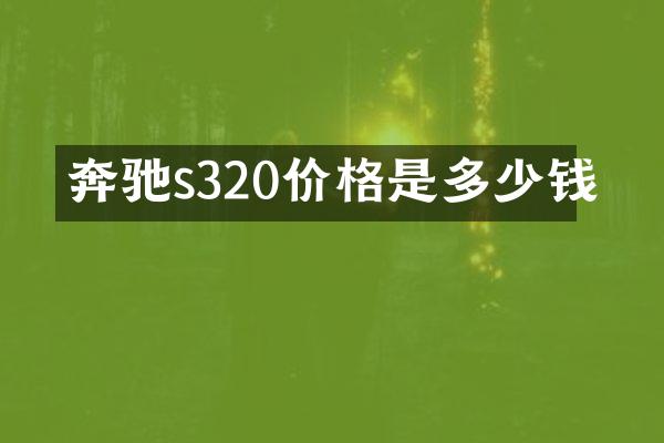 奔驰s320价格是多少钱