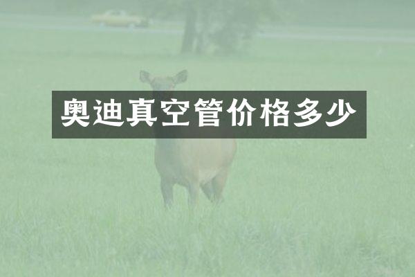 奥迪真空管价格多少