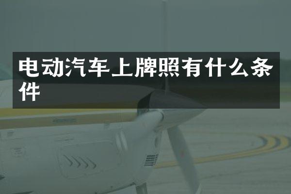 电动汽车上牌照有什么条件