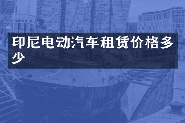 印尼电动汽车租赁价格多少