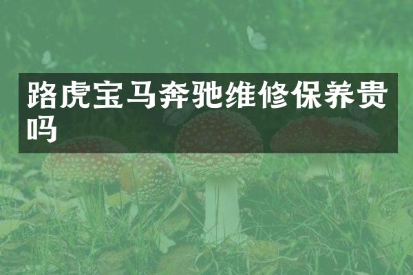 路虎宝马奔驰维修保养贵吗