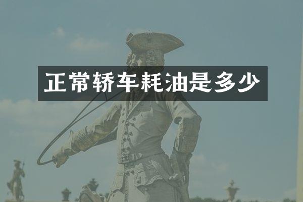正常轿车耗油是多少