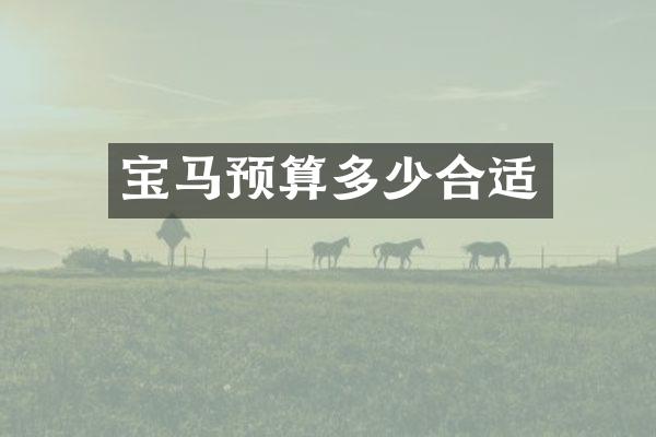 宝马预算多少合适