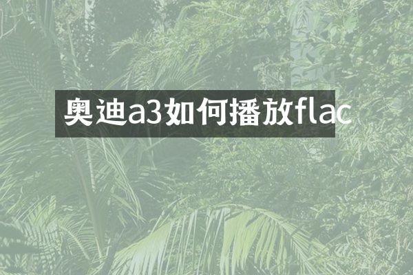 奥迪a3如何播放flac