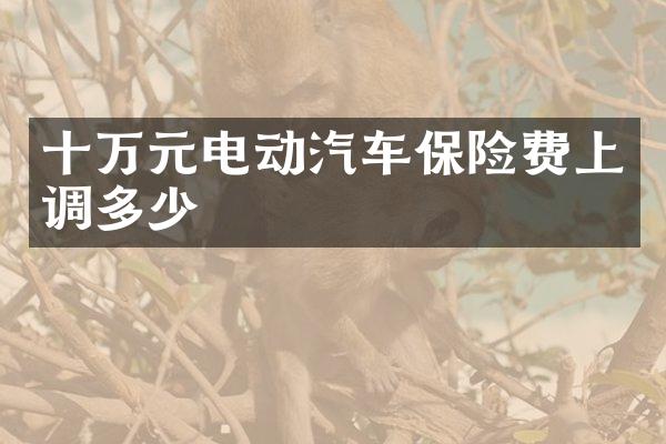 十万元电动汽车保险费上调多少