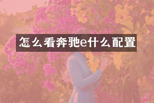 怎么看奔驰e什么配置