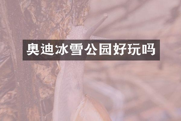 奥迪冰雪公园好玩吗